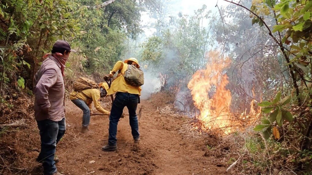 Incendios forestales